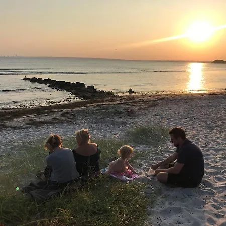 Amazing In Knebel With 3 Bedrooms And Wifi * Skodshoved Strand